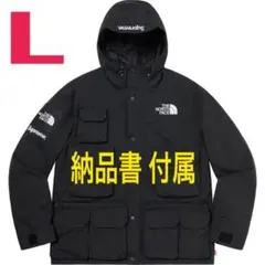 Supreme North Face Cargo Jacket Black L