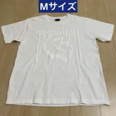 Item thumbnail for item 11056bf2-fae8-4e2f-a5f6-fd1763c923c9