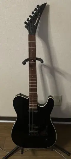 完全未使用品！FERNANDES-フェルナンデスSTEJ-DLX2S-BLK布袋 完全未使用品！フェルナンデスSTEJ-DLX2S-BLK-布袋寅泰 - メルカリ