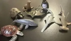 Item thumbnail for item 290c9448-0dd7-4f5f-8b53-88bd7f6d2d7f