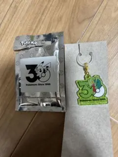 ポケモン　ポケチャーム　30周年ロゴマスコット　キモリ