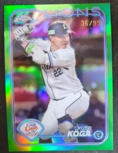 Item thumbnail for item 4c730b7b-e7ec-4539-9203-ad0e4cafaecb