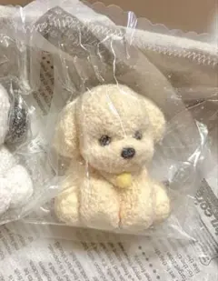 マリモ様専用◎kikisquishy★粉付きわんこ　アイボリー