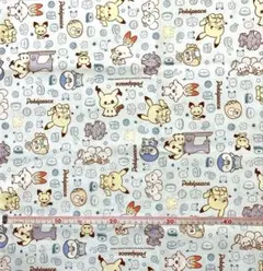 Item thumbnail for item a1b266c8-111c-427b-a6e8-852500fb6553