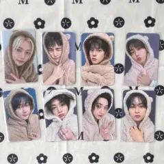 StrayKids KARMA fans プレリス トレカ 8枚