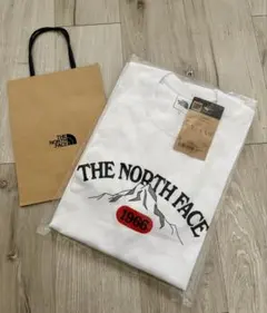 【新品・タグ付き】１着限定　ザノースフェイスロングスリーブグラフィックティーXL