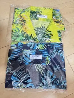 Item thumbnail for item ef58f2a1-7cfa-4c88-9173-66ffdeef83aa