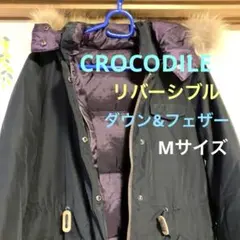 Item thumbnail for item dceadfa3-5e29-4d8d-b64f-48c85bc137e6