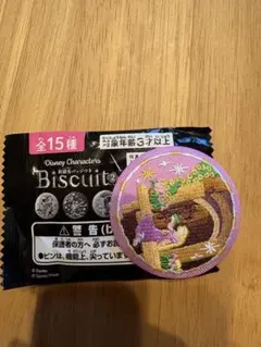 【新品未使用】ディズニー 刺繍缶バッジ2 ラプンツェル