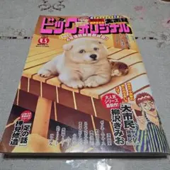 ビッグオリジナル 4.5号