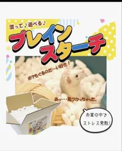 Item thumbnail for item d3710647-3f69-4439-a58a-3d0d5fdc15f3