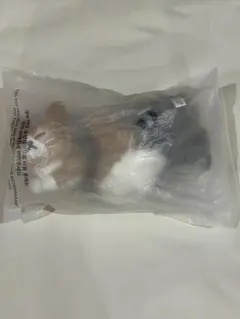 【値下げ〇】スキズ リノ メンプロ celebrATE ポップアップ トレカ