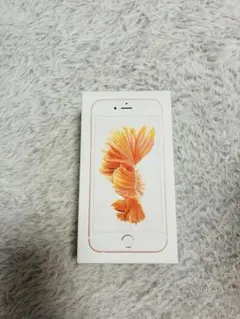 iPhone6s空箱品（付属品有り）