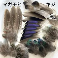 Item thumbnail for item 00fd126c-3b1c-4112-a0a7-e02141e0aa67