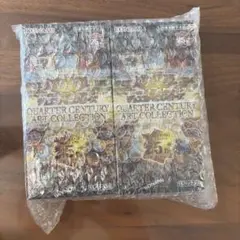 遊戯王 クォーターセンチュリーアートコレクション 2BOX 遊戯王OCG クォーターセンチュリーアートコレクション 2BOX シュリンク