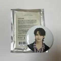 SEVENTEEN CARATLAND ジュン ケレン 缶バッジ ラキドロ
