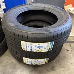 【在庫処分】Minerva F209 205/60R15 91V タイヤ.のサムネイル