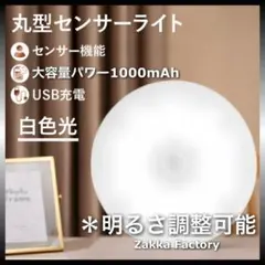 Item thumbnail for item 17e7e63e-515f-49a8-b91e-7eb4ae47f577