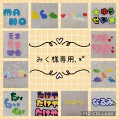 みく様専用.*゜