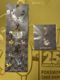 ポケモン メタルチャーム ブイズ