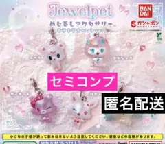 【セミコンプ】 ジュエルペット めじるしアクセサリー キラキラオーロラver.