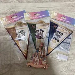 ディズニーガーランド　ホテルデザイン　バッグチャーム付き