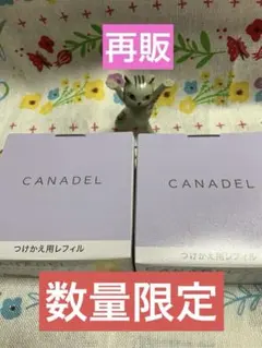 2026年最新】カナデル プレミアホワイト レフィルの人気アイテム