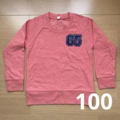 トレーナー　100