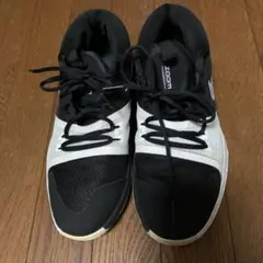 Item thumbnail for item 5361c31d-fdd3-463e-9580-322a6f2bbc30