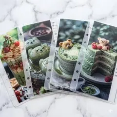 리필 4개 절약!테디베어 말차 스위트 바인더 저금통