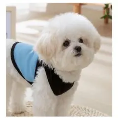 Item thumbnail for item 3824e882-1acd-4673-8ad8-616b0d017bd7