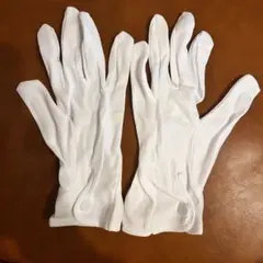 Item thumbnail for item d21c8829-40c7-49de-91bc-b479d85e646f