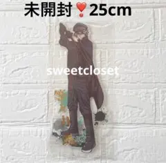 桃源暗鬼　BIGアクリルフィギュア　アクリルスタンド　アクスタ　等々力颯 桃源暗鬼 BIGアクリルフィギュア アクリルスタンド アクスタ 等々力颯