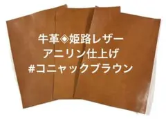 Item thumbnail for item 6b1e3f43-5c65-4325-8f8d-a41351f1f45a