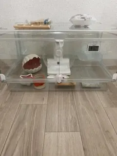 Item thumbnail for item 3efef47e-760a-47a4-8685-723ca6b9378f