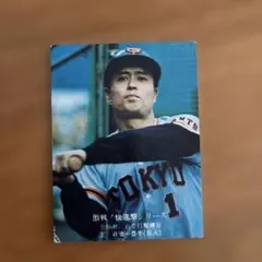カルビー プロ野球カード 王貞治 打撃戦シリーズ 783 - メルカリ
