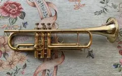 Item thumbnail for item 181a2b34-ab50-4f68-8a36-29336b8c9de8