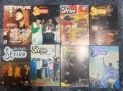 Strive 音楽雑誌 15冊 ストライブ レゲエ 雑誌 本