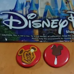 海外パーク限定 ディズニー 缶バッジ