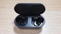 DENON PerL Pro AH-C15PL ワイヤレスイヤホン　ケースのみのサムネイル