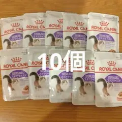 Item thumbnail for item fbd355b1-cbc1-4413-b414-9fab0b088d5c