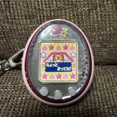 希少】たまごっちiDL ひめスペver - メルカリ
