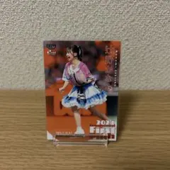 2025年最新】始球式カード 辻野かなみの人気アイテム - メルカリ