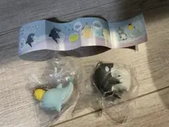 須磨シーワールド限定すみっコぐらしガチャ