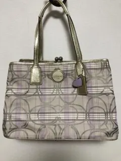 シグネチャー ストライプ プレイド フレームド キャリーオール トート