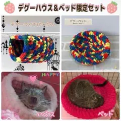 Item thumbnail for item 741e5eb1-dcd9-4300-8896-9295aa901a18