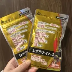 Item thumbnail for item 90eb988e-cab1-4828-8734-df9c89623f0b