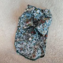 Item thumbnail for item e4a31d63-53d3-4191-8754-71f15a527133