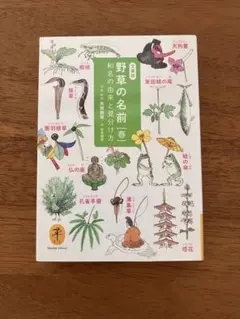 Item thumbnail for item a19b6efe-cb60-4c10-abc6-aef75d31f20d