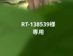 RT-138539様専用